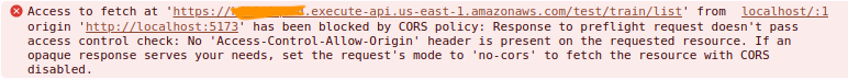 cors-error